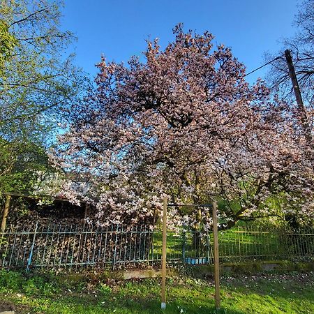 Bergischer Hof - Bergischer Hofgarten Windeck Zewnętrze zdjęcie