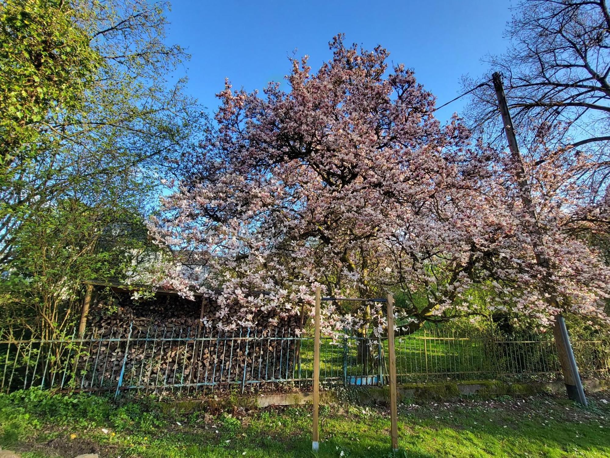Bergischer Hof - Bergischer Hofgarten Windeck Zewnętrze zdjęcie